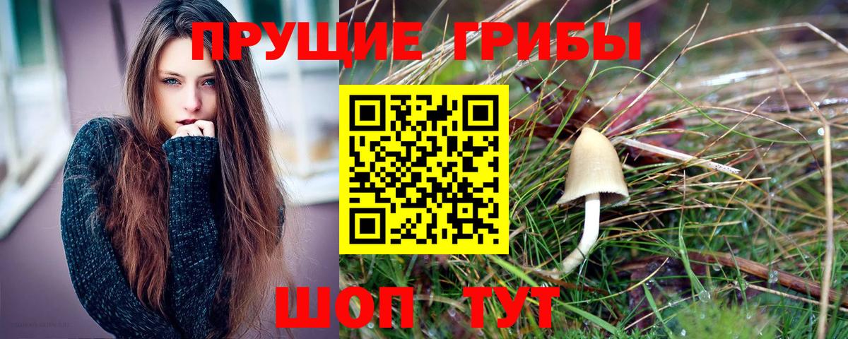 Псилоцибиновые грибы прущие грибы Балашиха